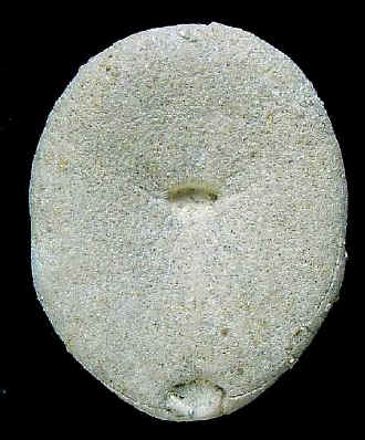 E2B.JPG (43894 octets)