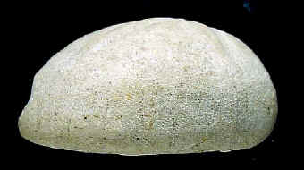 R1C.JPG (23478 octets)