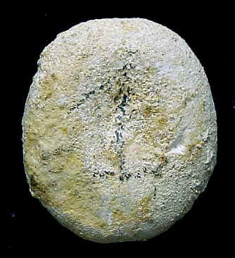 R2B.JPG (38569 octets)