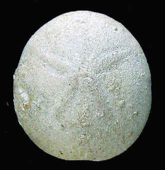 R3A.JPG (32753 octets)